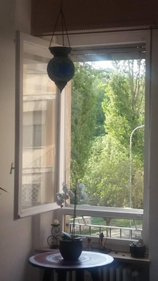 Vista Sul Fiume Apartment Turin Ngoại thất bức ảnh
